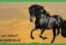 داستانک پندآموز-اسب زیبا