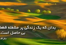 جملات تصویری گرانبها از بزرگان