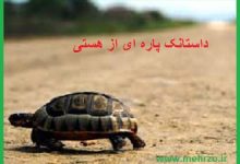 داستانک پاره‌ای از هستی