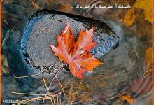 داستانک پند آموز