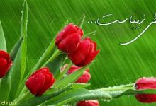 این قانون برای همگان صادق است-قانون خوب زندگی