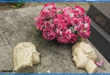 داستانک پندآموز شیوانا