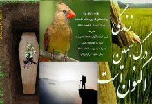 داستان پندآموز | به دنبال مردگان