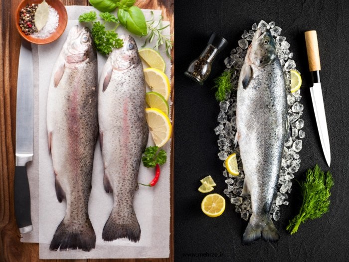 خواص ماهی قزل آلا برای سلامت زندگی